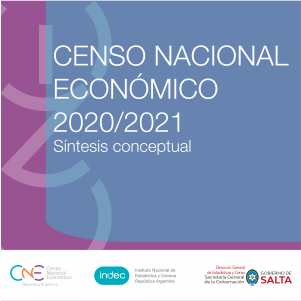 Síntesis conceptual Censo Nacional Económico 2020/21